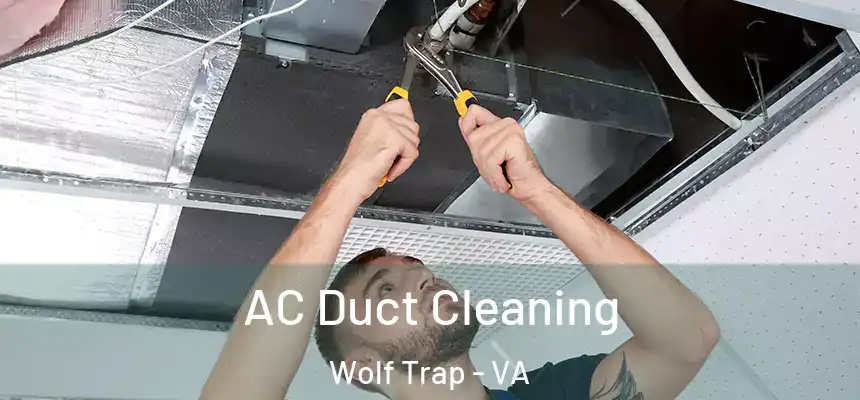  AC Duct Cleaning Wolf Trap - VA