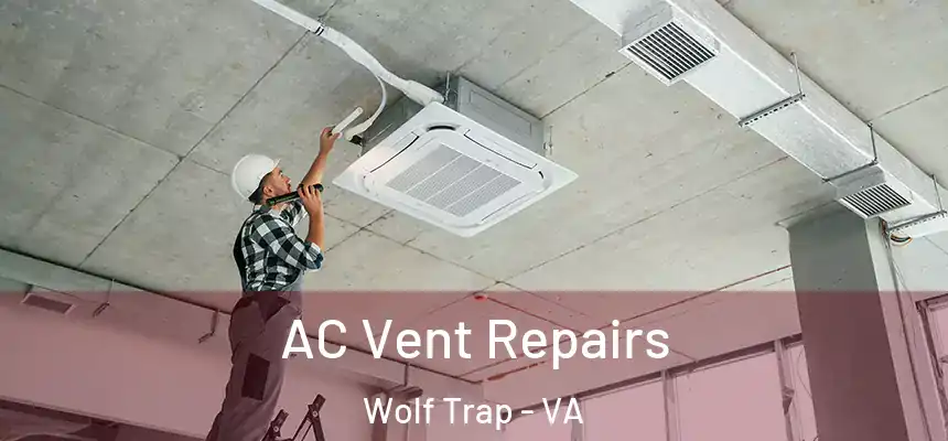  AC Vent Repairs Wolf Trap - VA