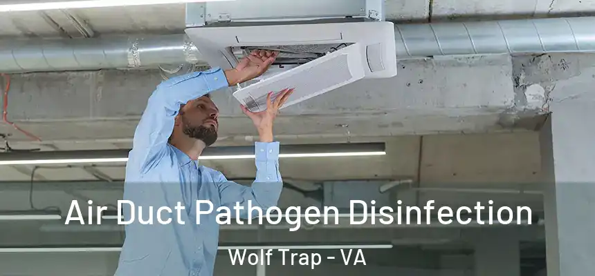  Air Duct Pathogen Disinfection Wolf Trap - VA