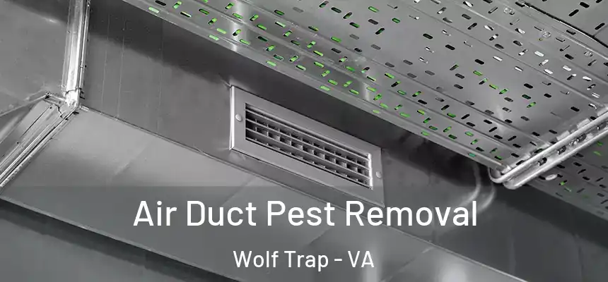  Air Duct Pest Removal Wolf Trap - VA