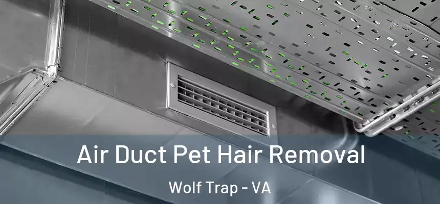  Air Duct Pet Hair Removal Wolf Trap - VA