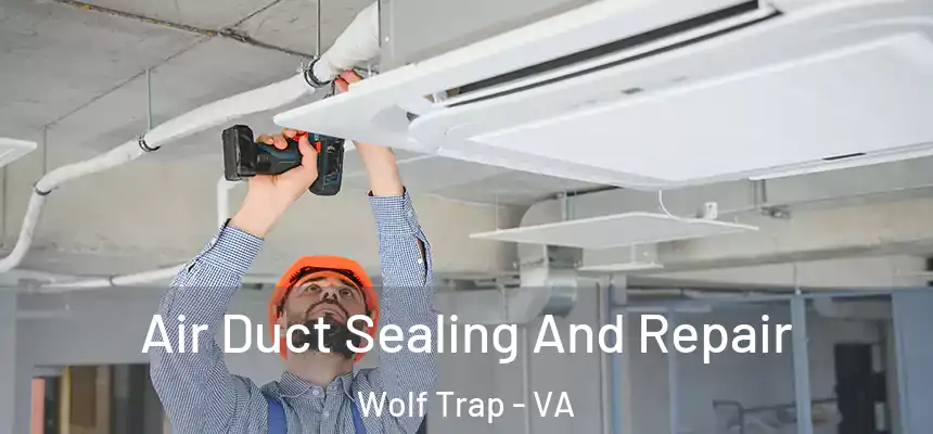  Air Duct Sealing And Repair Wolf Trap - VA