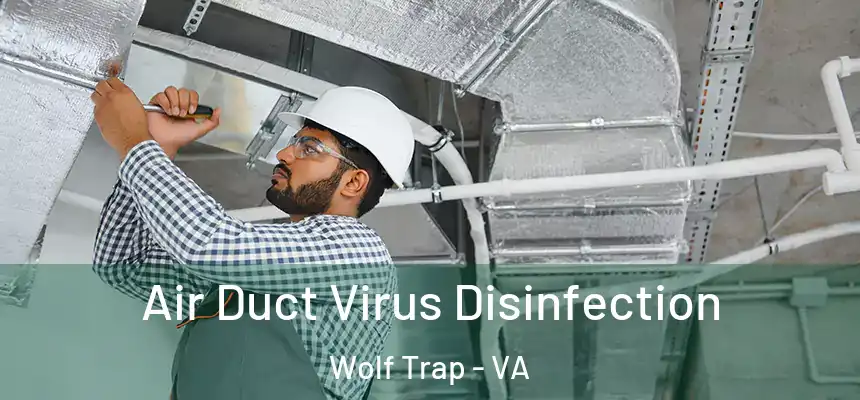  Air Duct Virus Disinfection Wolf Trap - VA
