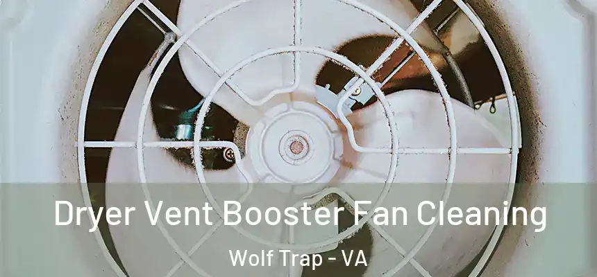  Dryer Vent Booster Fan Cleaning Wolf Trap - VA
