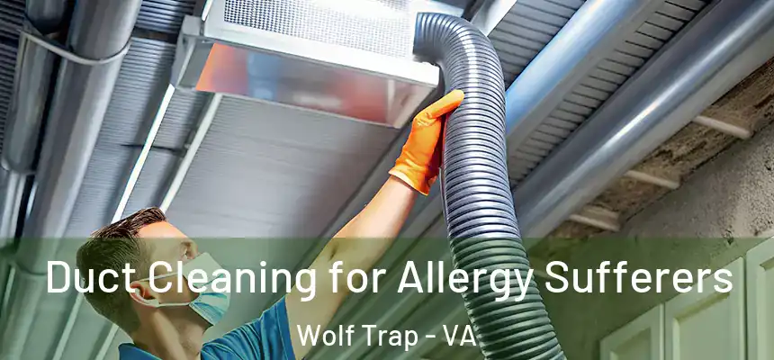  Duct Cleaning for Allergy Sufferers Wolf Trap - VA