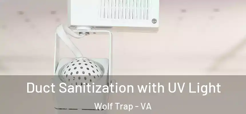  Duct Sanitization with UV Light Wolf Trap - VA