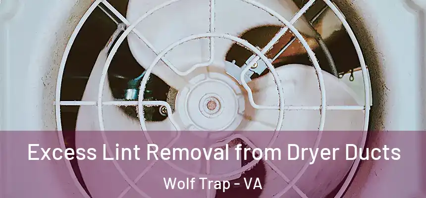  Excess Lint Removal from Dryer Ducts Wolf Trap - VA