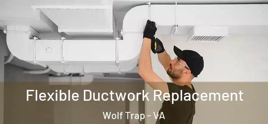  Flexible Ductwork Replacement Wolf Trap - VA