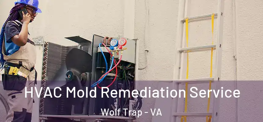  HVAC Mold Remediation Service Wolf Trap - VA