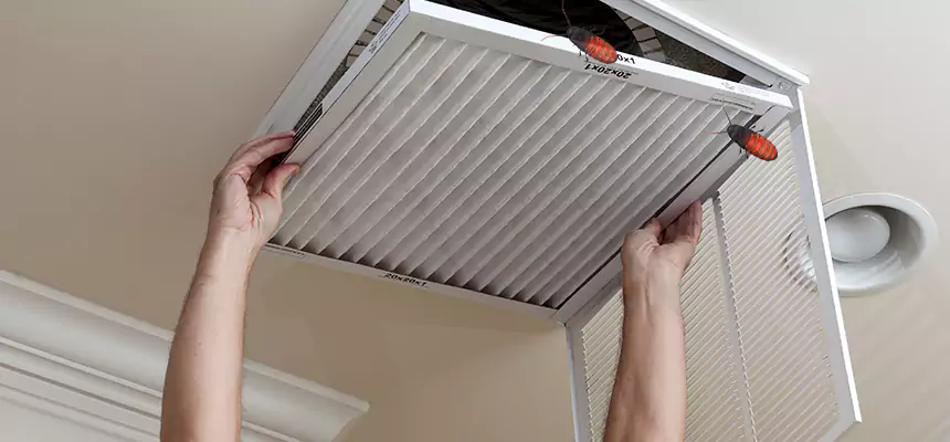 Preventive Cockroach-Proofing for Ducts in Wolf Trap