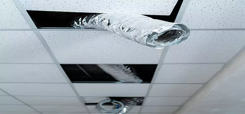 Affordable HVAC Sanitizing After Pest Removal in Wolf Trap