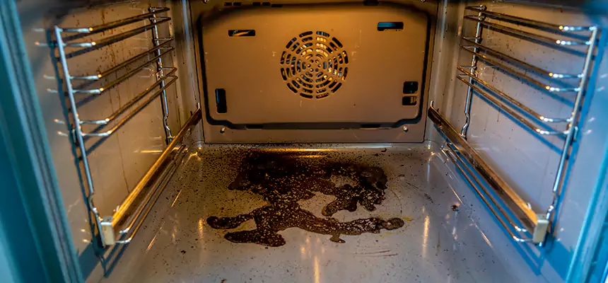 Our Dryer Vent Mold Cleaning Services in Wolf Trap, VA