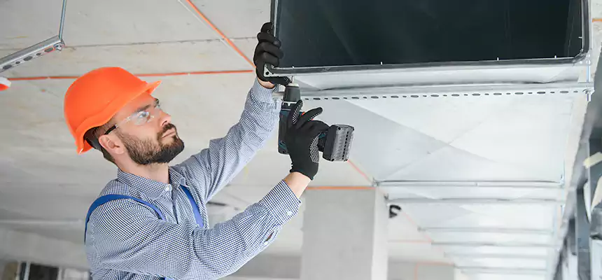 Roof Cap & Exterior Hood Lint Buildup Removal – Wolf Trap