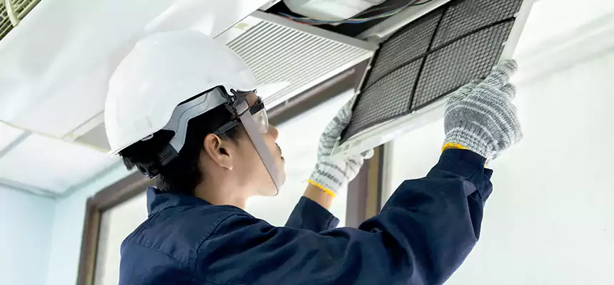 Our Mold & Mildew Removal from Air Ducts Services in Wolf Trap, VA