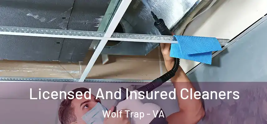  Licensed And Insured Cleaners Wolf Trap - VA