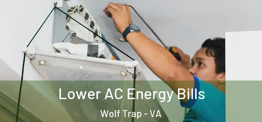  Lower AC Energy Bills Wolf Trap - VA