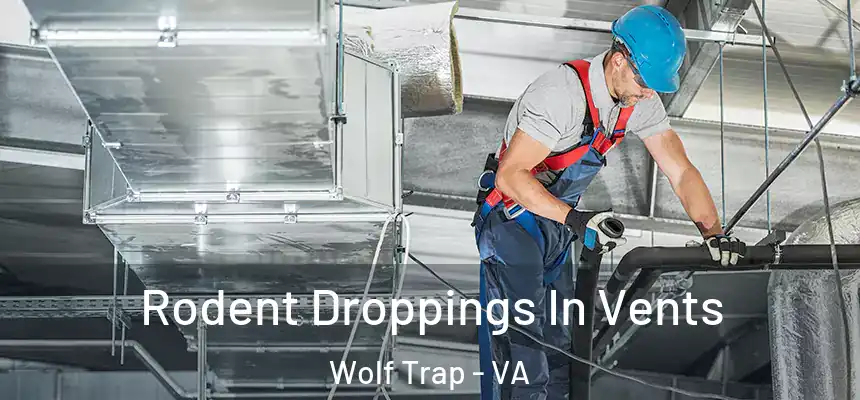  Rodent Droppings In Vents Wolf Trap - VA