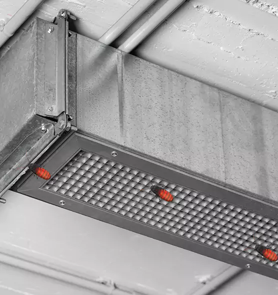 Affordable Insect Removal from Air Ducts in Wolf Trap, VA