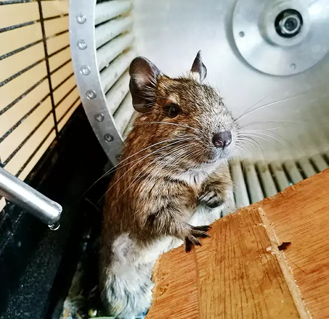 Why Homeowners & Businesses Trust Us Wolf Trap, VA?