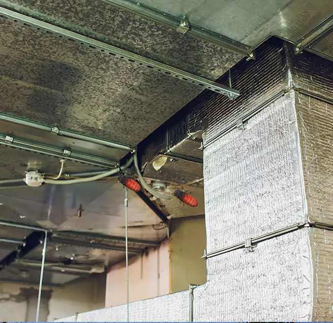 Why Homeowners & Businesses Trust Us Wolf Trap, VA?