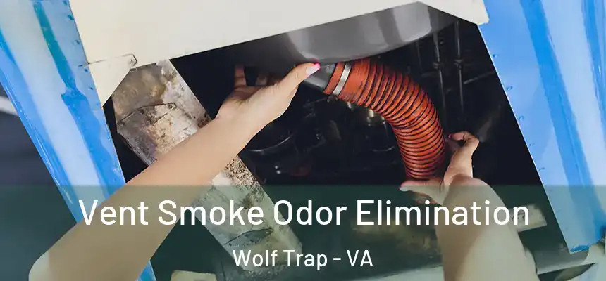  Vent Smoke Odor Elimination Wolf Trap - VA